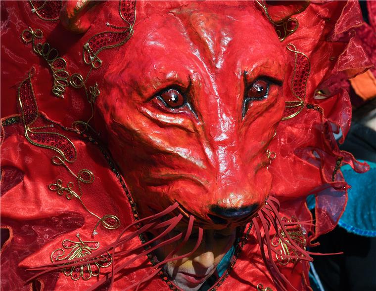 Am Wochenende steigt der Samba-Karneval in Bremen.
