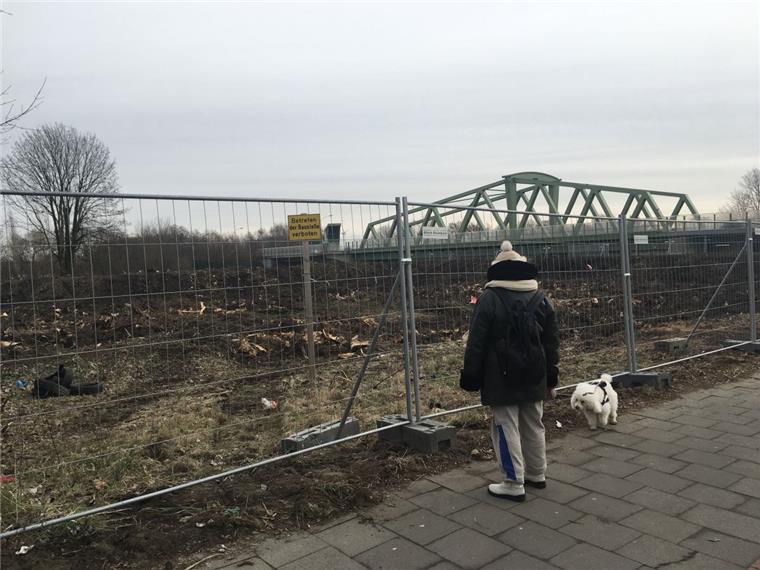 An der Ecke Geestheller Damm/Hafenstraße haben die Bagger das Dickicht gerodet. Jetzt ist der Blick frei zum Autobahnzubringer.