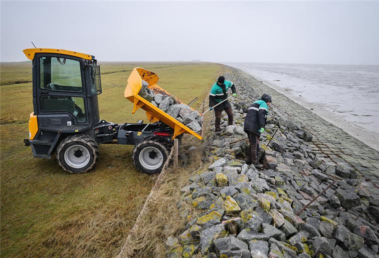 Herbstdeichschauen an der Nordsee: Experten geben Entwarnung – noch Zwei Mitarbeiter vom Landesbetrieb für Küstenschutz, Nationalpark und Meeresschutz Schleswig-Holstein (LKN.SH) reparieren schadhafte Stellen im Deckwerk auf der Hallig Langeneß. An der Nordsee werden die Deiche im Herbst begutachtet. Experten sehen sie gut gerüstet, warnen aber vor steigenden Belastungen durch den Klimawandel.