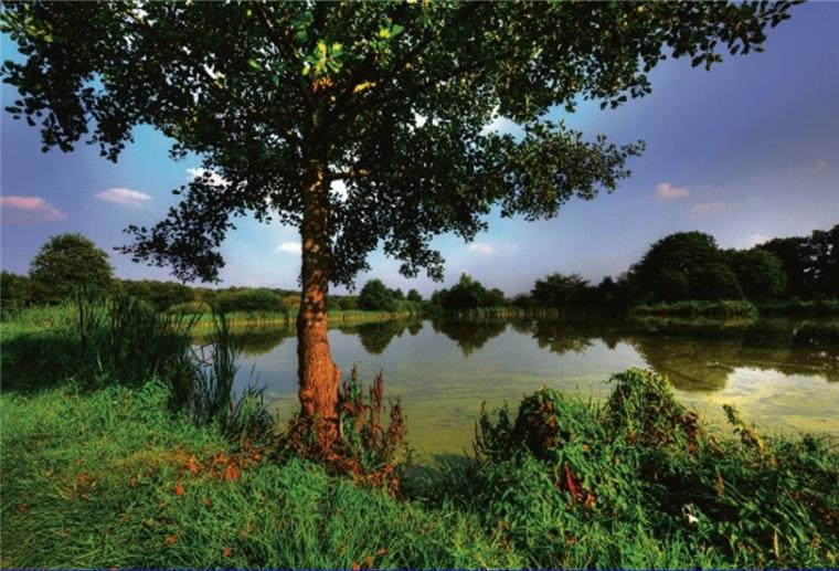 An der Oste entsteht eines der größten Naturschutzgebiete im Landkreis Rotenburg. Der Umweltausschuss brachte die entsprechende Verordnung nun auf den Weg.