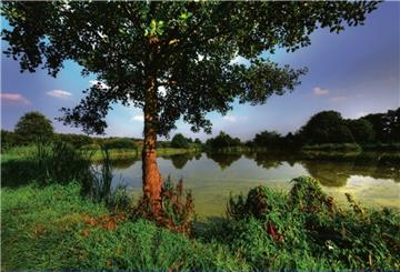 An der Oste entsteht eines der größten Naturschutzgebiete im Landkreis Rotenburg. Der Umweltausschuss brachte die entsprechende Verordnung nun auf den Weg.