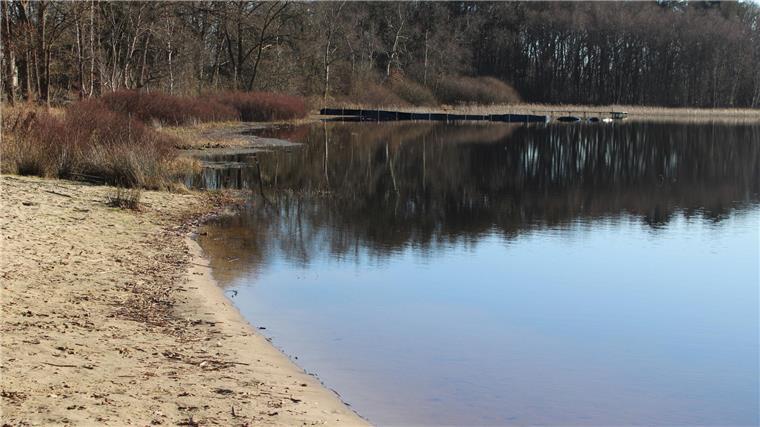 Am Silbersee in Wehdel tut sich einiges für den Naturschutz