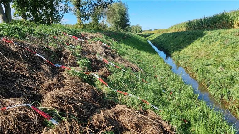 Nach Tötungsdelikt im Kreis Diepholz: Mutmaßlicher Täter gefasst