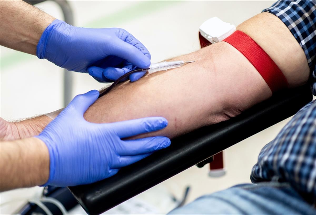 An zahlreichen Terminen können Menschen im Landkreis Cuxhaven unter strengen Hygieneregeln Blut beim Deutschen Roten Kreuz spenden.