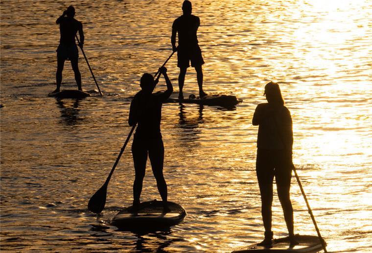 Mehrere Stand-Up-Paddler sind auf einem See unterwegs. 