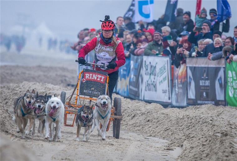 Andrea Herdegen mit ihrem Hundegespann am Ostseestrand auf der Insel Usedom.