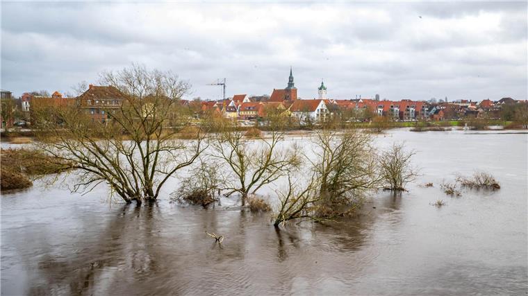Große Mengen Müll erschweren Aufräumen nach Hochwasser Angeschwemmter Plastikmüll hat nach dem Winterhochwasser die Aufräumarbeiten erschwert. (Archivbild)