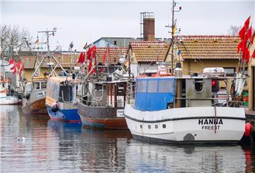 Fischkutter liegen im Fischereihafen Freest. 