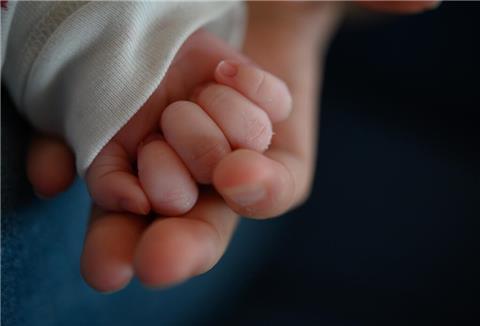 Die Hand eines zwei Wochen alten Neugeborenen liegt in der Hand seiner Mutter. 
