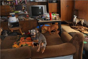 Tiere in verwahrloster Wohnung