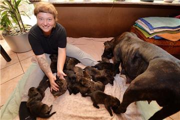 Anja Köhler kümmert sich zusammen mit ihrer Dogge &quot;Mäuschen&quot; um die 17...