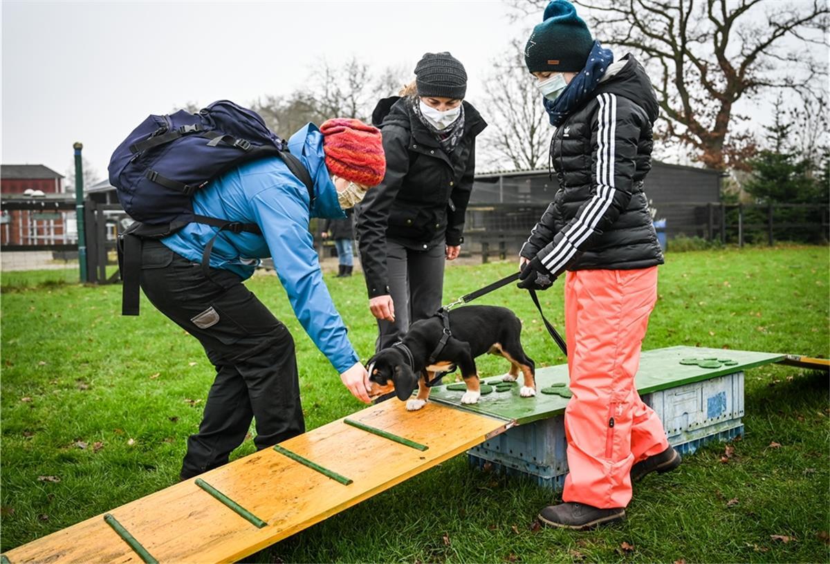 Anja Nicolaus (links) und deren Tochter Emma sind mit Sammy beim Hundetraining von Canan Matthießen. 