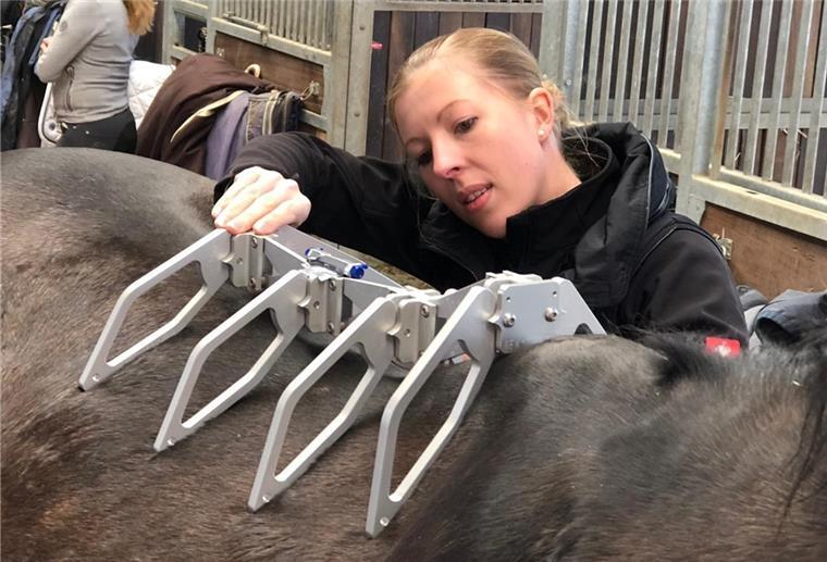 Antje Kruse vermisst den Rücken des Pferdes mit einem sogenannten Arc Device. Damit kann sie die Rückenlinie nachformen.