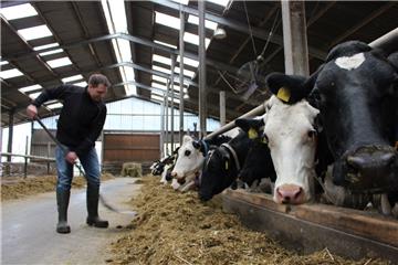 Arno Mohrmann legt Wert auf die Gesundheit seiner Tiere.