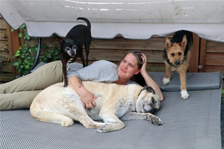 Frau aus Zeven hat ein großes Herz für Tiere Astrid Heid aus Zeven nimmt immer wieder Pflegehunde aus Ungarn und Rumänien auf und vermittelt sie dann in neue Familien in Deutschland.