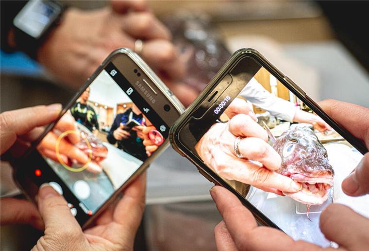Auch 2023 werden die Insta-Walks der Erlebnis veranstaltet und geben zahlreiche Einblicke.