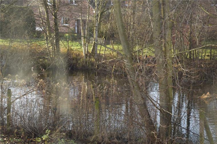 Auch das gehört zu Rhade: idyllisches Regenrückhaltebecken am Rande eines Neubaugebietes. 