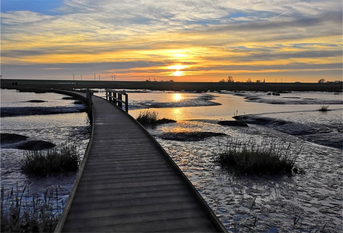 Wesermarsch: Projekt bringt Einheimischen und Gästen die Naturschätze näher Auch der Langwarder Groden ist ein Naturschatz, den Einheimische und Touristen mit App und Internetseite neu entdecken können.