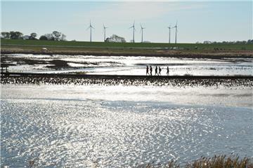 Auch der Langwarder Groden ist Station der Mottotour Klimawandel. Dort ist unter anderem die Wiedervernässung von Wiesen Thema.