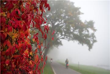 Auch der Nebel kann in November sehr schön sein. 