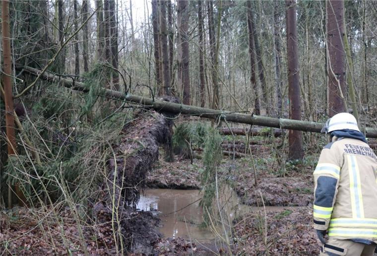 Auch die ersten Bäume stürzten in Bremerhaven um. 