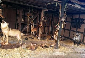 Tierausstellung im Heimatmuseum Debstedt