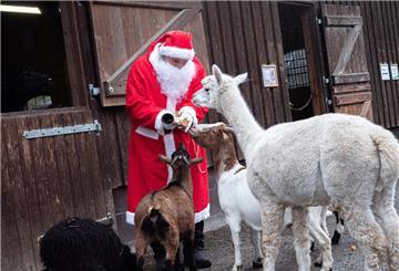 Weihnachtsmann vor Ställen verteilt Leckereien an Zootiere