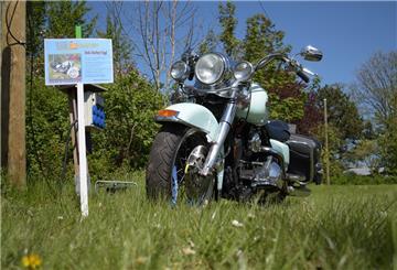 Auch diese Harley-Davidson kann von Campinggästen für Tagesausflüge gemietet werden.
