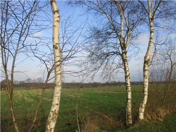 Auch entlang des Plätternweges führt der künftige Rundweg durch Natur, so weit das Auge reicht. Hier aber fehlen noch Bänke zum Ausruhen.
