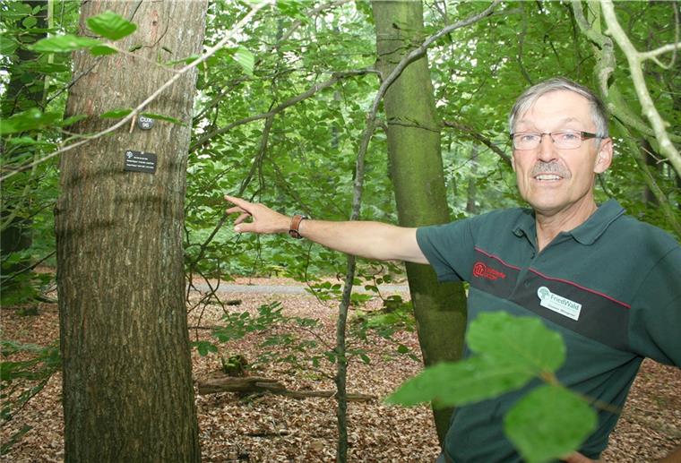 Kührstedt: Letzte Ruhestätte unter Bäumen Auch Friedwald-Mitarbeiter Dieter Wegner hat sich einen Baum gesichert. Hier ruhen bereits seine Eltern.