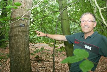 Auch Friedwald-Mitarbeiter Dieter Wegner hat sich einen Baum gesichert. Hier ruhen bereits seine Eltern.