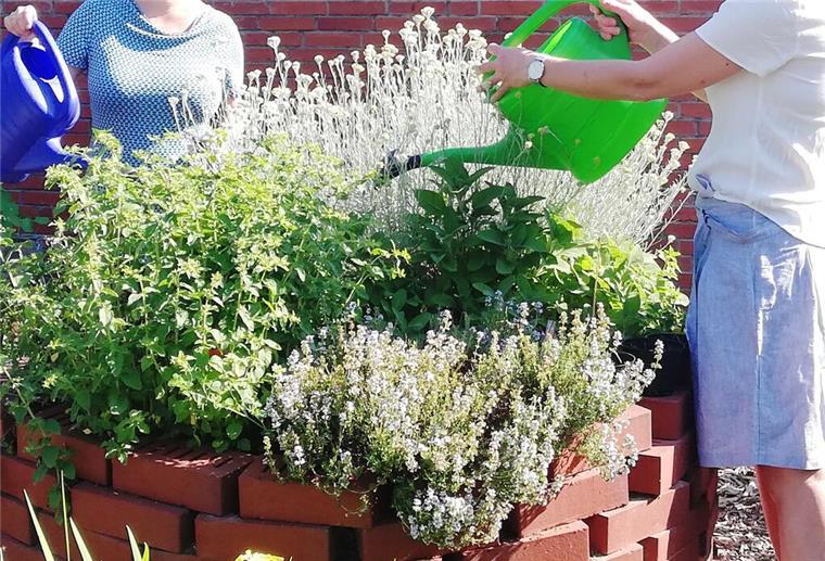 Zwei Frauen gießen mit ihren Gießkannen ein Hochbeet.