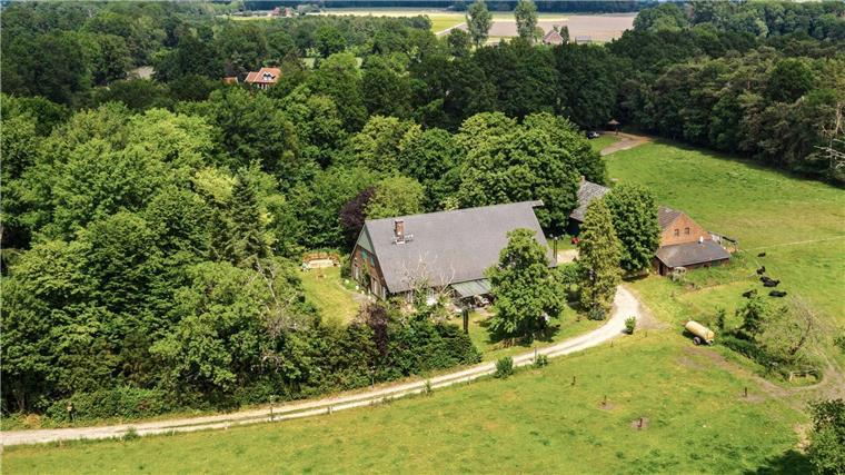 Auch in diesem Jahr kommen acht mehr oder weniger prominente Paare ins „Sommerhaus der Stars“.