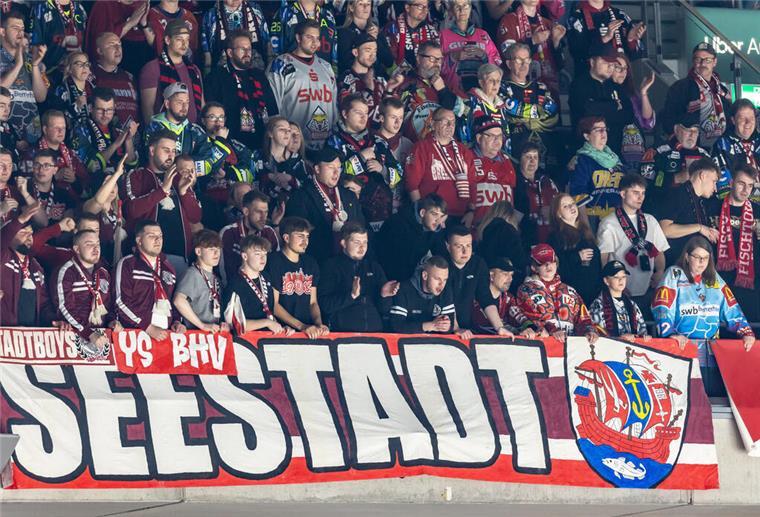 Fischtown international! Diese CHL-Auswärtstouren wird es für Pinguins-Fans geben Fans stehen auf der Tribüne und feuern die Mannschaft der Fischtown Pinguins an