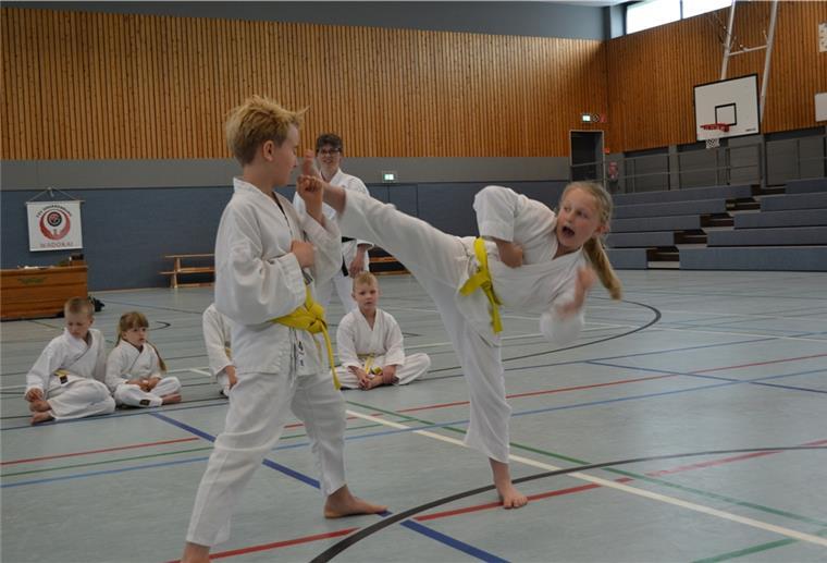 Auch Karate läuft wieder in den Ferien beim TSV Bederkesa.