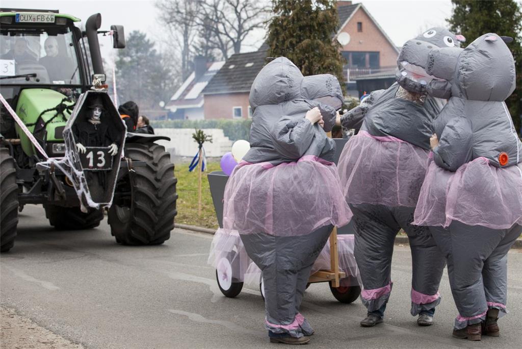 Auch Nilpferde können sich grazil bewegen - wie dieses Ballett-Trio beweist. 