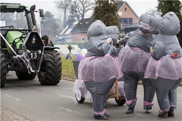 Auch Nilpferde können sich grazil bewegen - wie dieses Ballett-Trio beweist. 