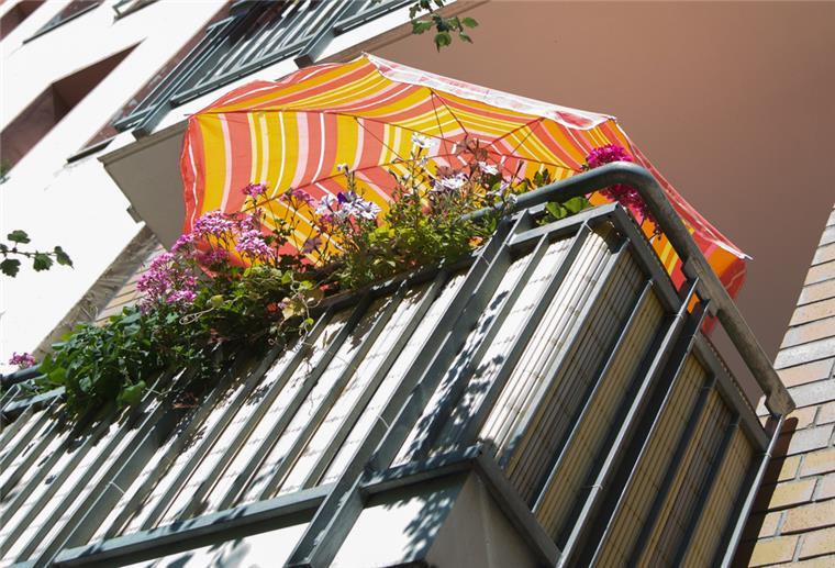 Auch Pflanzen können unter Hitze und starker Sonneneinstrahlung leiden. Erste Hilfe bietet ein Sonnenschirm für Blumen und Co.