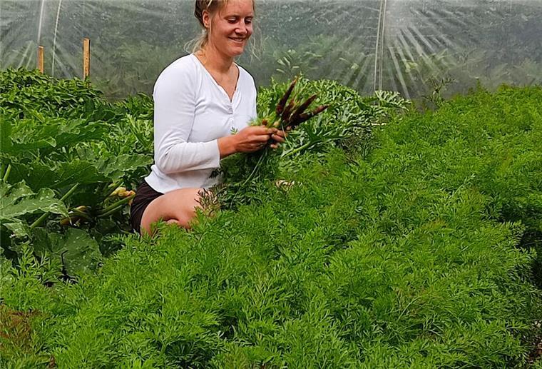 Market Gardening: Von wegen Kraut und Rüben Market Gardening