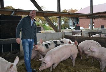 Auf dem Bio-Hof von Matthias und Wiebke Icken in Sievern können die Schweine ihrem natürlichen Spieltrieb nachgehen.