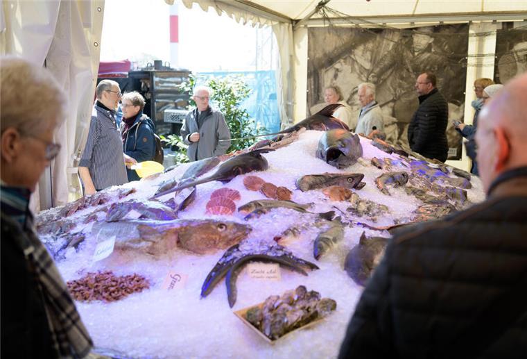 Auf dem Eisbett wird die Vielfalt der „Fischwelt“ dargestellt.