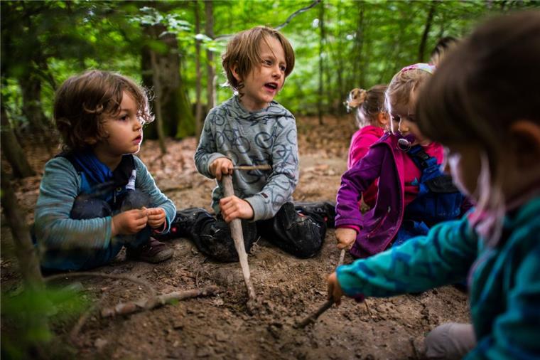 Auf dem Klostergut Burgsittensen ist ein Waldkindergarten geplant. Am 1. Oktober soll die Kita in Betrieb gehen. 