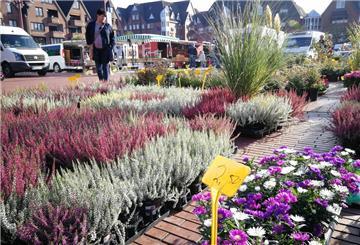 Auf dem Nordenhamer Wochenmarkt bieten verschiedene Händler gerade jetzt zur Pflanzzeit ein breites Angebot an Blumen, Stauden und diversen Sträuchern an.