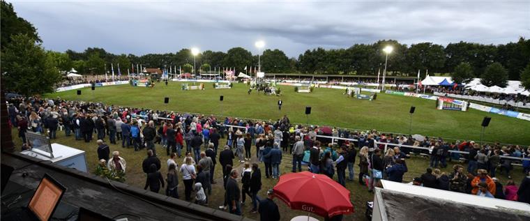 Feuer auf Elmloher Turnierplatz: Viele Hindernisse verbrannt Auf dem Turnierplatz in Elmlohe ist ein Schuppen abgebrannt.