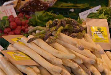 Auf dem Wochenmarkt in Nordenham bieten mehrere Händler das beliebte Stangengemüse an.