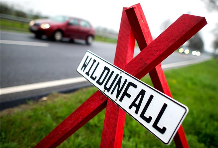 Wulsdorf: BMW kollidiert mit Reh Auf der B71n gab es einen Wildunfall.