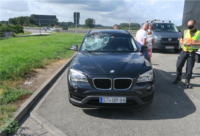 Autobahn 1: Fliegender Pfau kollidiert mit Auto Auf der Beifahrerseite ist die Windschutzscheibe nach dem Unfall eingedrückt und geborsten.