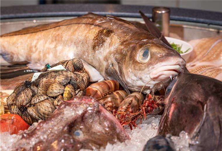 Bremerhaven: Fischparty lockt zum Schaufenster Auf der Fischparty gibt es zahlreiche Meerestiere zu sehen.
