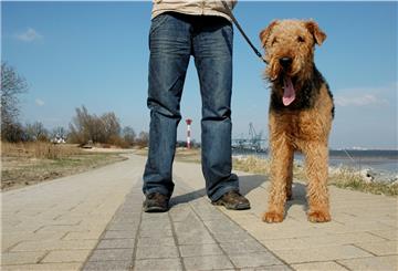 Auf der Nordenhamer Strandpromenade müssen Hunde an der Leine geführt werden. Und in vielen anderen Bereichen des Stadtgebietes auch. 