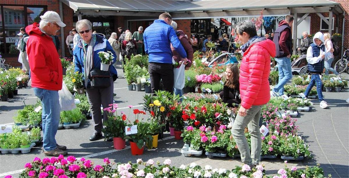 Staudenmarkt in Hagen